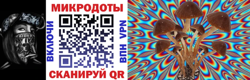 Купить  Добрянка  Галлюциногенные грибы ЛСД 